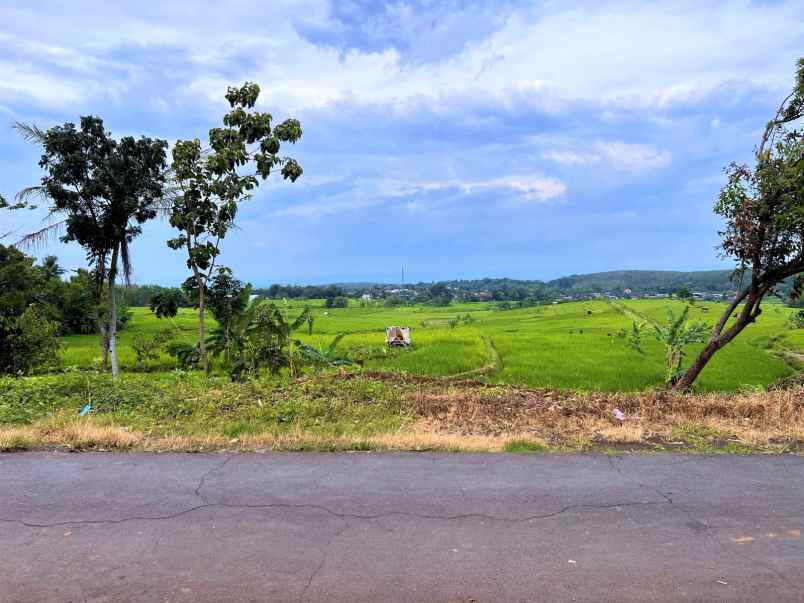 tanah pekarangan dekat sungai kerjo karanganyar