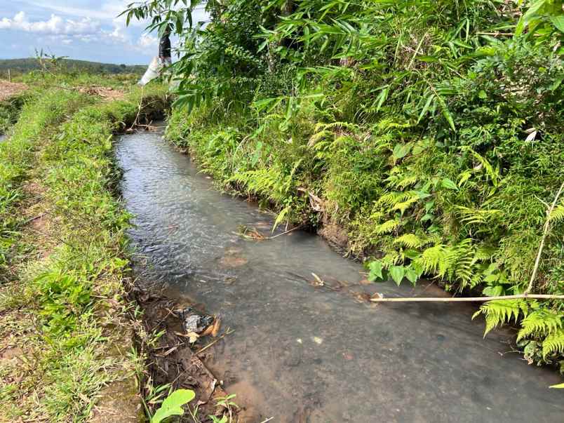 tanah pekarangan dekat sungai kerjo karanganyar