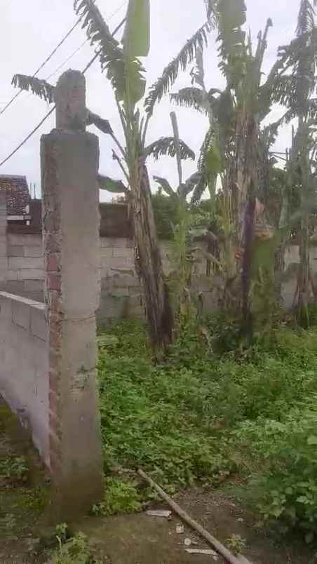 tanah pekarangan sudah tembok keliling