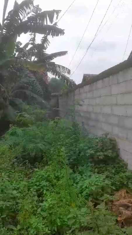 tanah pekarangan sudah tembok keliling