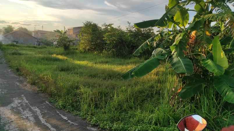 tanah pribadi bukan tanah calo