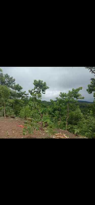 tanah rancabuaya garut