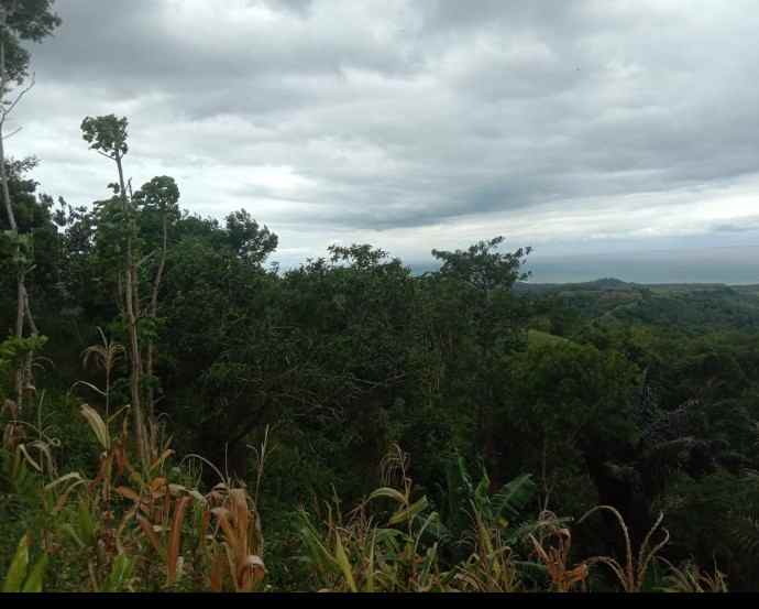 tanah rancabuaya garut