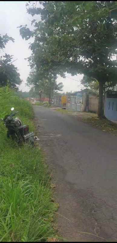 tanah sawah produktiv dekat kawasan wisata