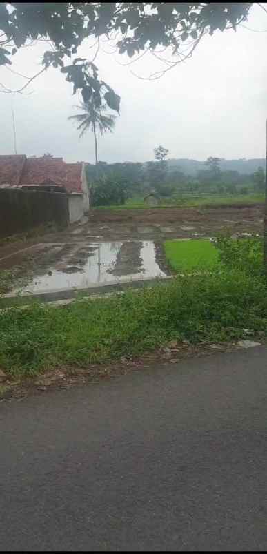 tanah sawah produktiv dekat kawasan wisata