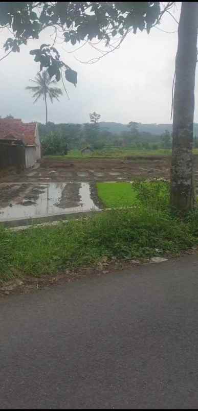 tanah sawah produktiv dekat kawasan wisata