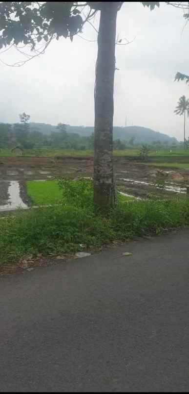 tanah sawah produktiv dekat kawasan wisata