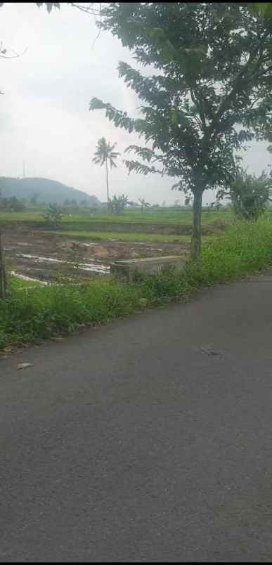 tanah sawah produktiv dekat kawasan wisata