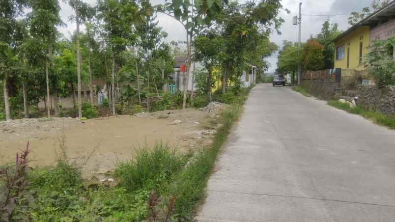 tanah sleman yogyakarta kampus alma ata yogyakarta