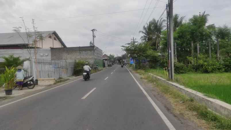 tanah sleman yogyakarta kampus alma ata yogyakarta