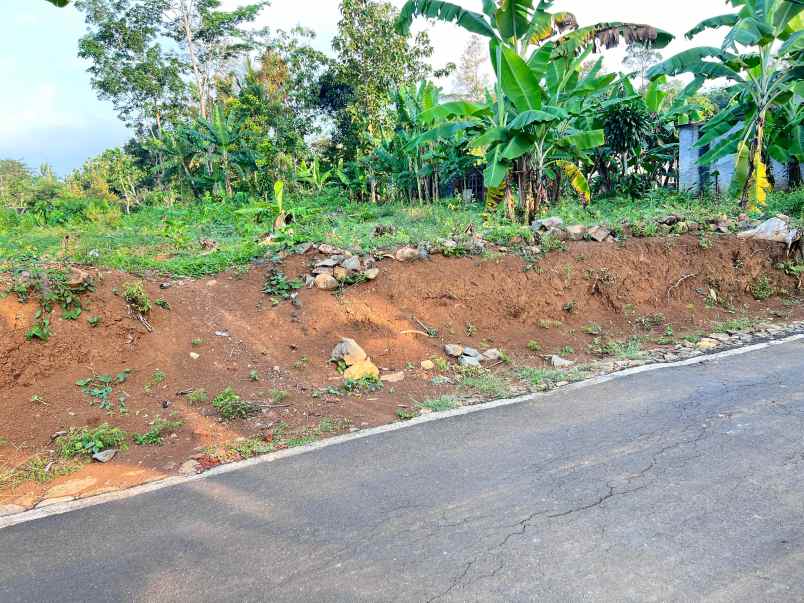 tanah super datar 1750m timur pasar batujamus