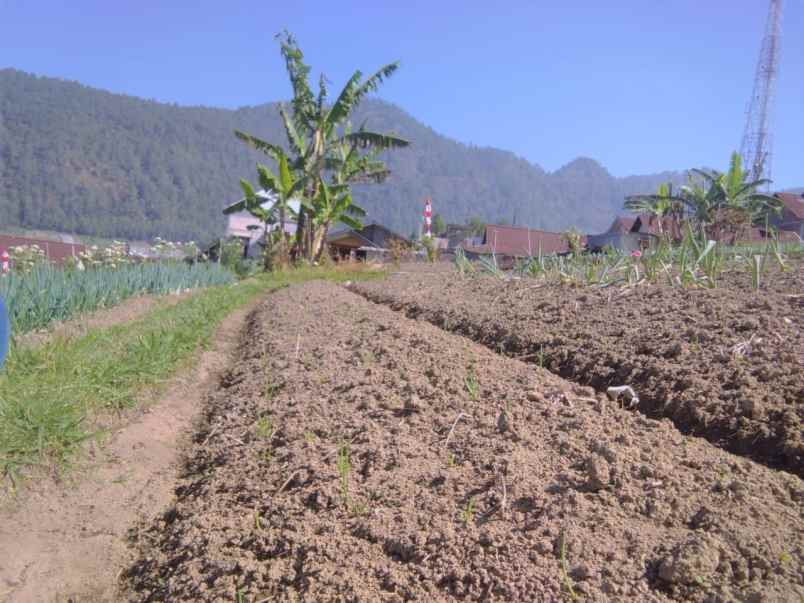 tanah udara dingin 300m tawangmangu karanganyar