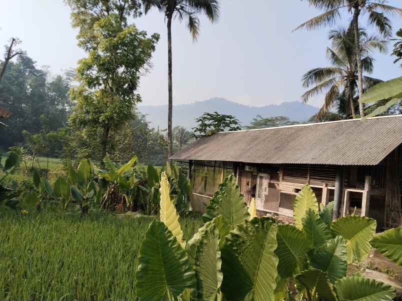 vila kolam ikan view bagus tanjung siang subang