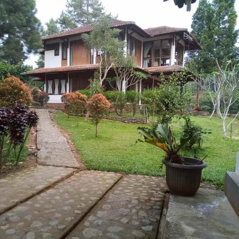 villa puncak