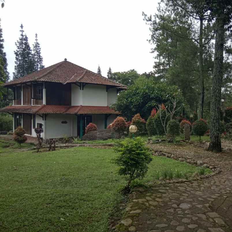 villa puncak