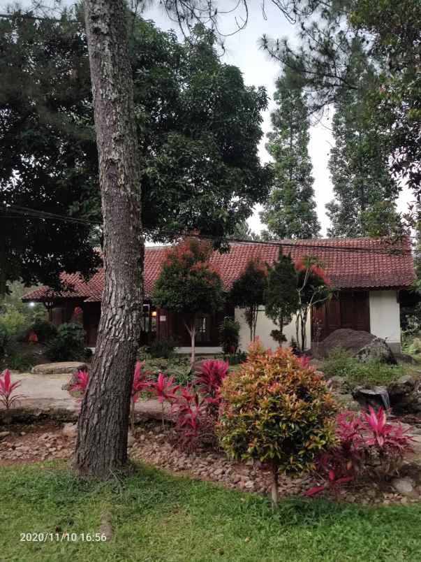 villa puncak