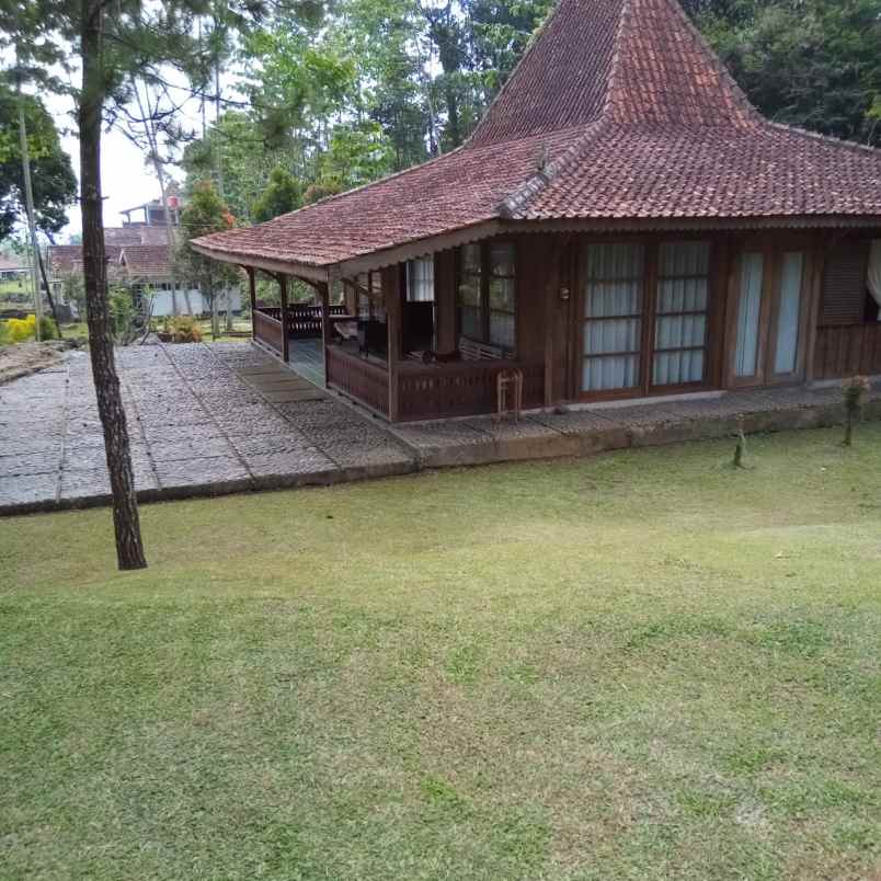 villa puncak