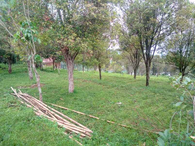 2 2 ha kebun cengkeh di desa pakuhaji bandung barat