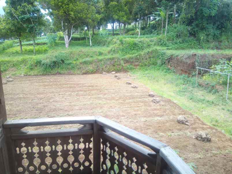 2 2 ha kebun cengkeh di desa pakuhaji bandung barat