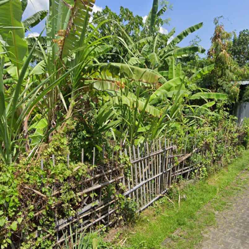 dijual 2 are jl veteran buduk pererenan mengwi badung