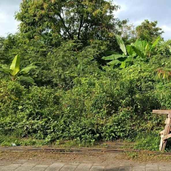 dijual 2 are jl veteran buduk pererenan mengwi badung