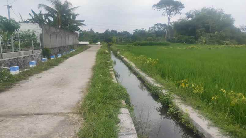 dijual murah tanah luas 7 000m kota garum blitar