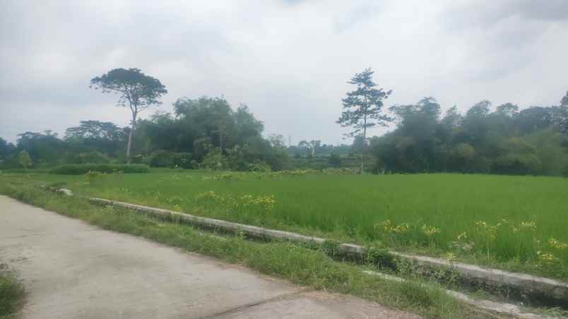 dijual murah tanah luas 7 000m kota garum blitar