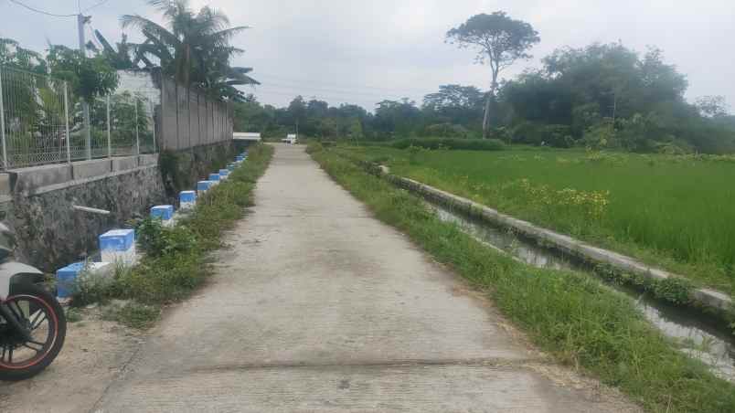 dijual murah tanah luas 7 000m kota garum blitar