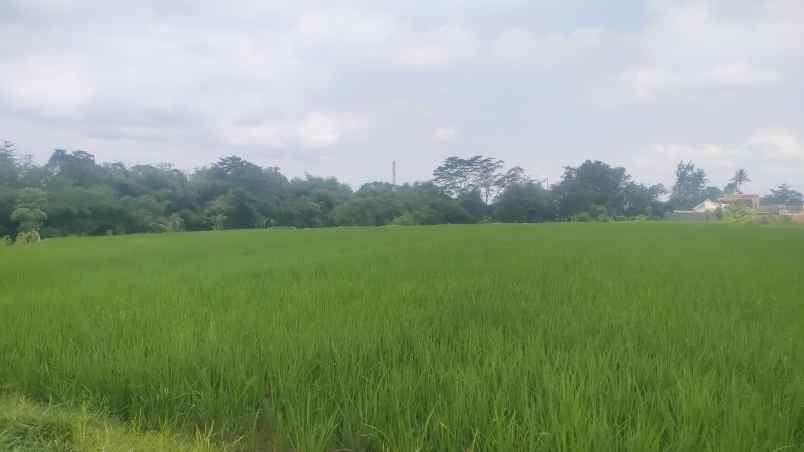 dijual murah tanah luas 7 000m kota garum blitar