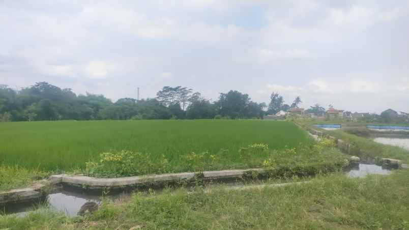 dijual murah tanah luas 7 000m kota garum blitar