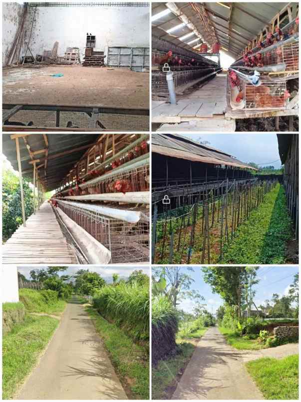 dijual ruko gudang kantor karangploso malang