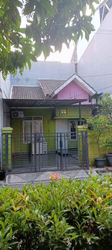 dijual rumah cluster palem taman royal