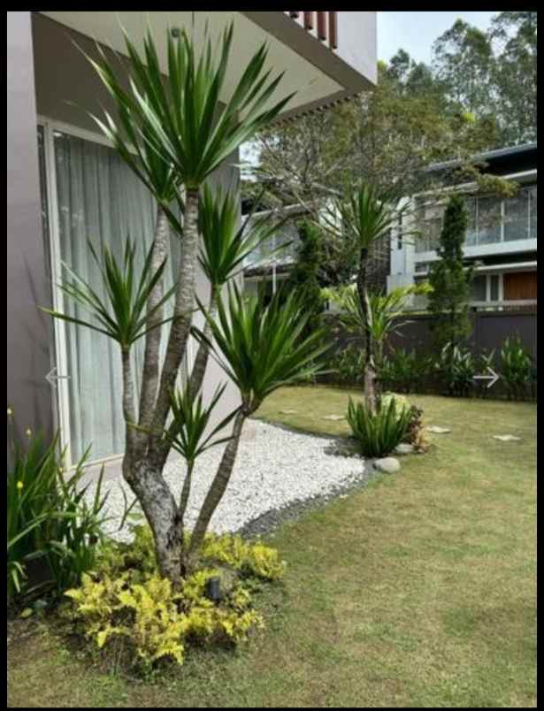 dijual rumah dago