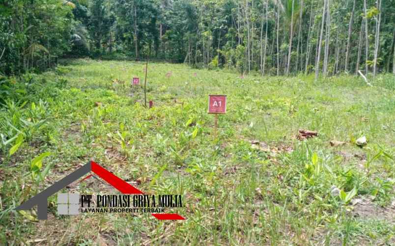 dijual rumah jalan wates