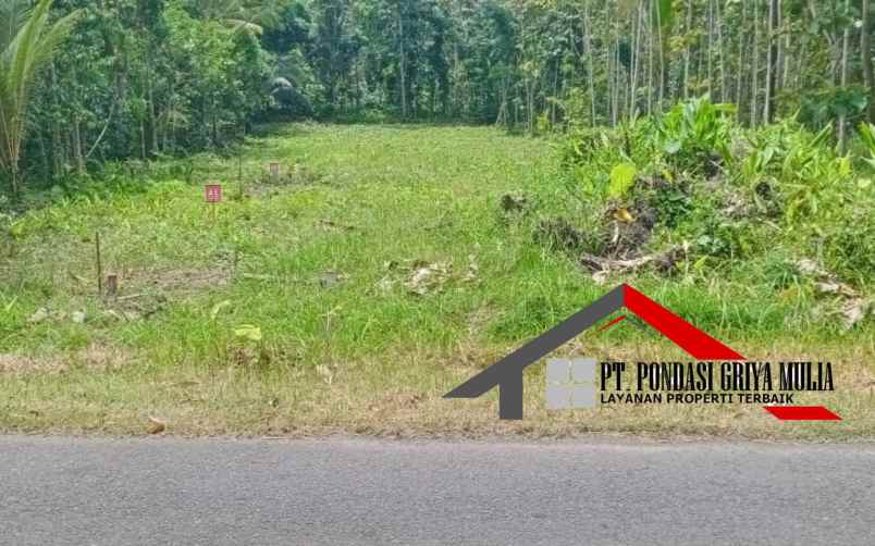 dijual rumah jalan wates