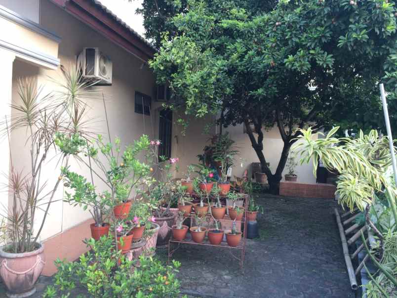 dijual rumah jl bongas jatimakmur