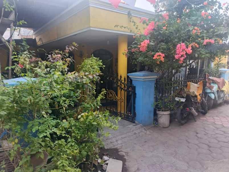 dijual rumah kedung mangu kel sidotopo