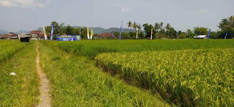 dijual rumah kemudo prambanan klaten