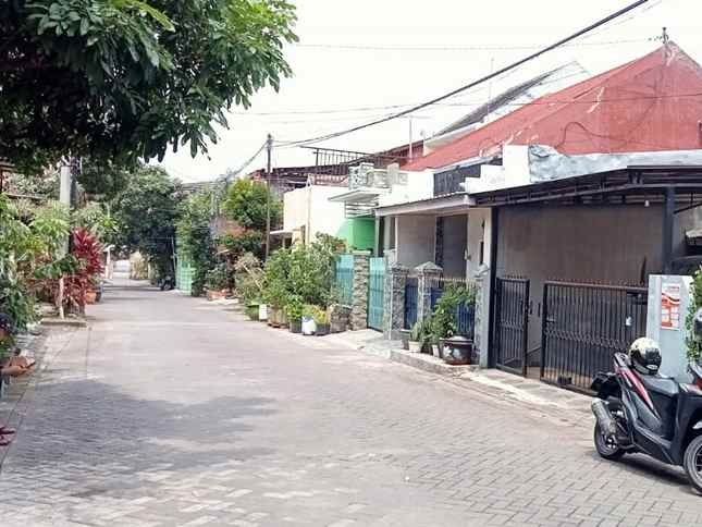 dijual rumah simpang teluk grajakan