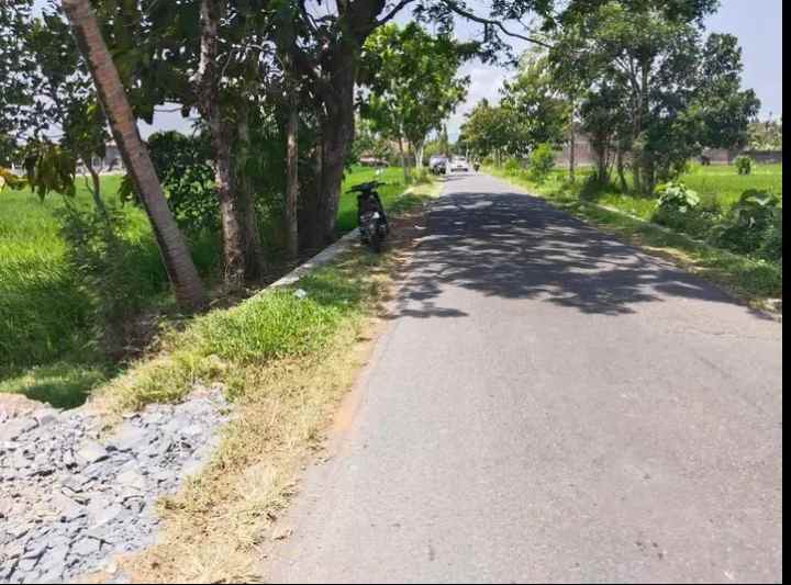 dijual sawah si bantul kota