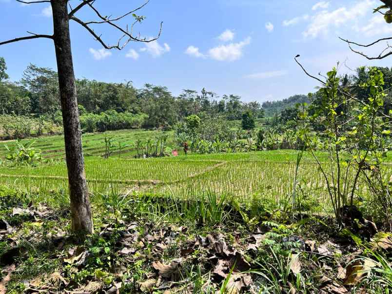 dijual tanah 1936m dekat pasar mojogedang karanganyar