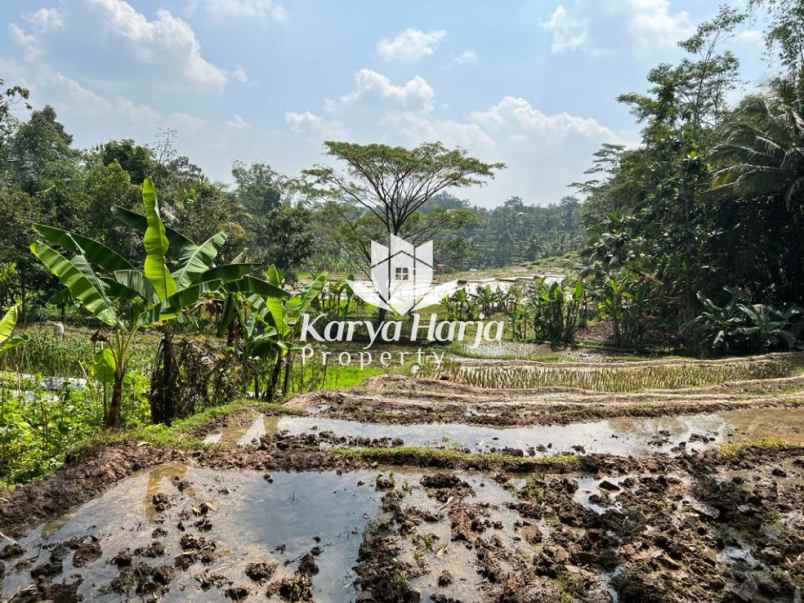 dijual tanah 200 juta karangpandan karanganyar