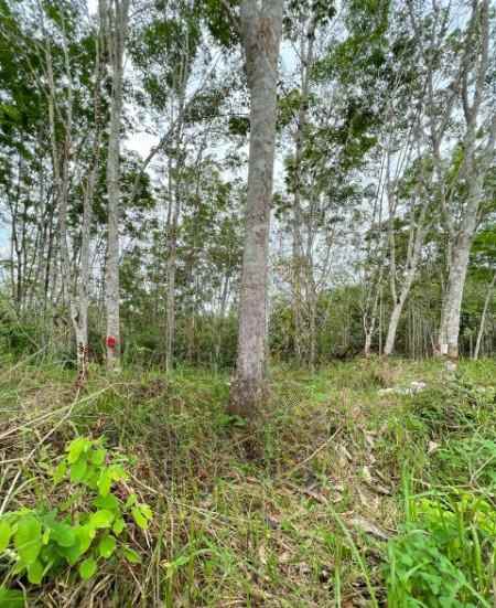 dijual tanah babulu kabupaten penajam