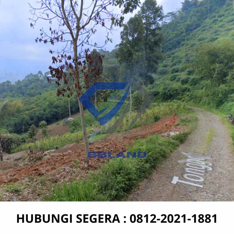 dijual tanah bandung pangalengan