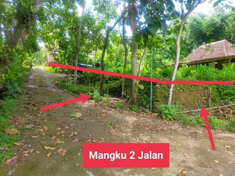 dijual tanah bejiharjo karangmojo