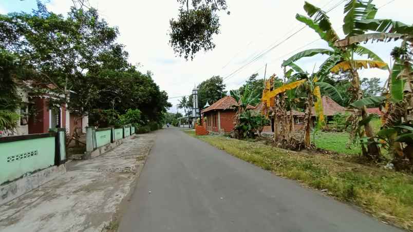 dijual tanah blotan wedomartani