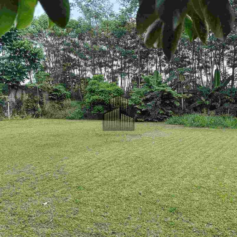 dijual tanah bulusan