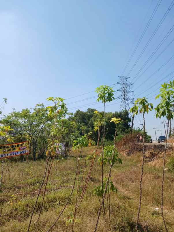 dijual tanah cilangkara serang baru cikarang bekasi