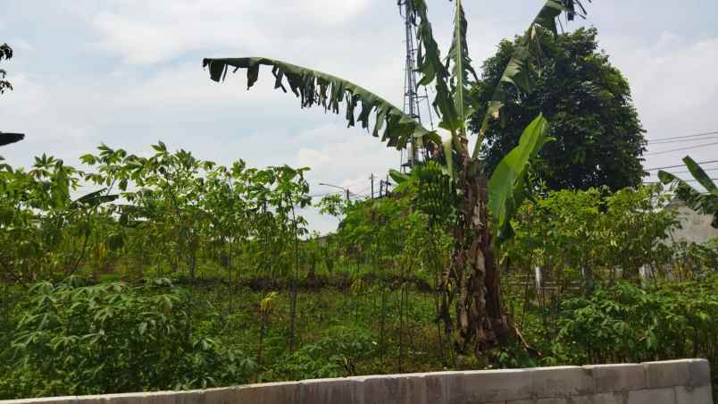 dijual tanah cipageran