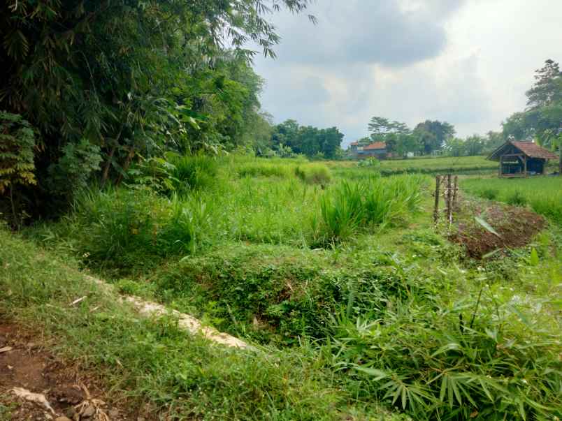 dijual tanah ciwangi beber